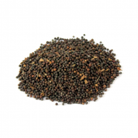 False Black Pepper (Bao Barrang)